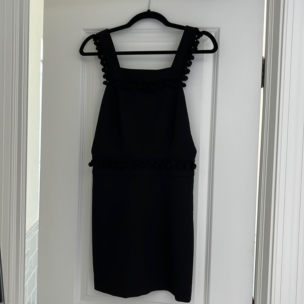 Zara Mini Backless Pom Pom Dress